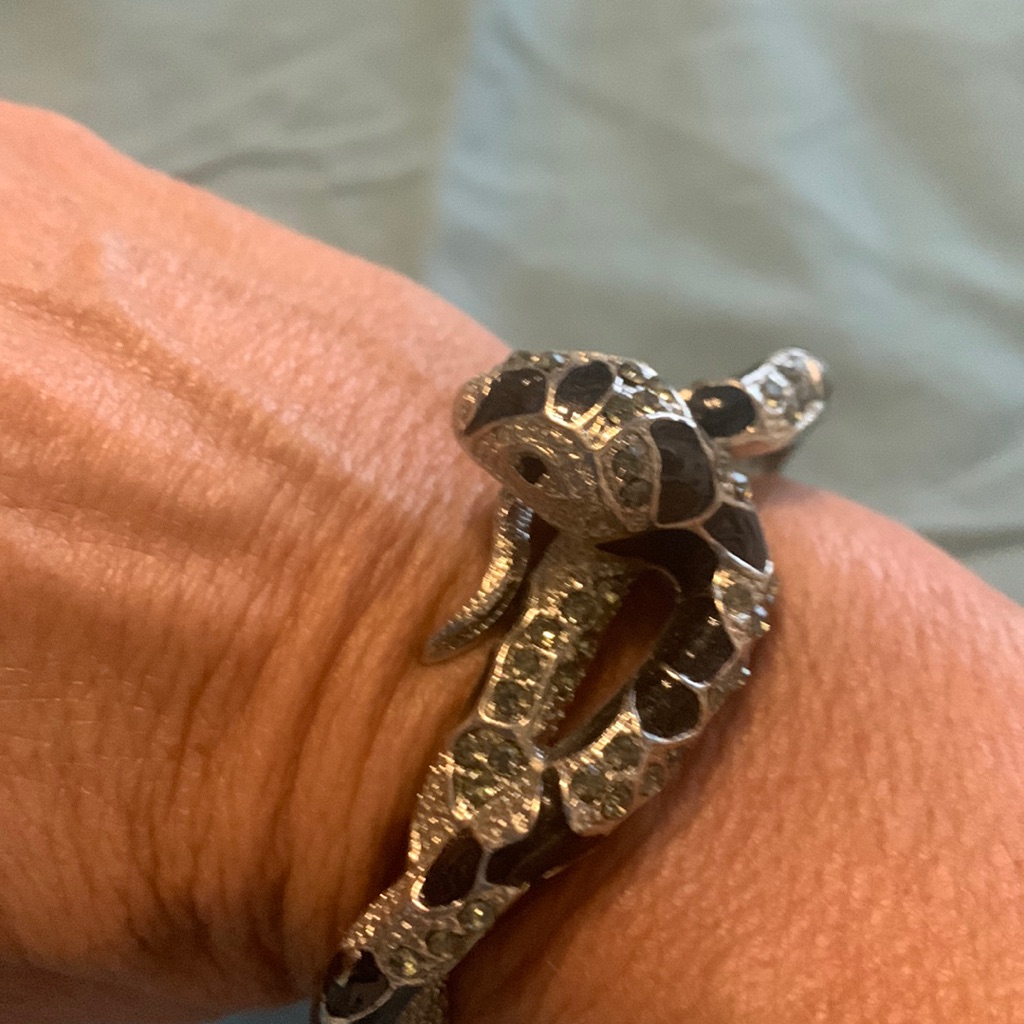Snake Hinged Bracelet